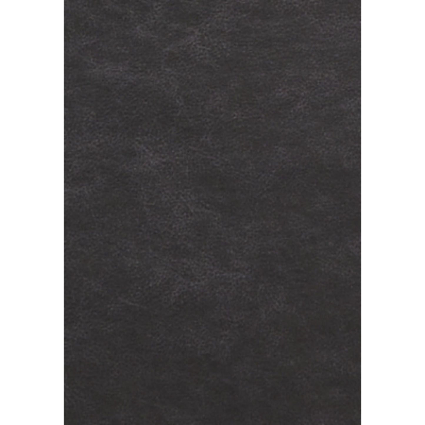 Fauteuil releveur électrique Oatman