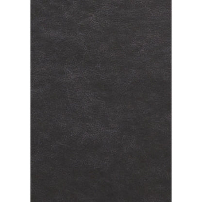 Fauteuil releveur électrique Oatman