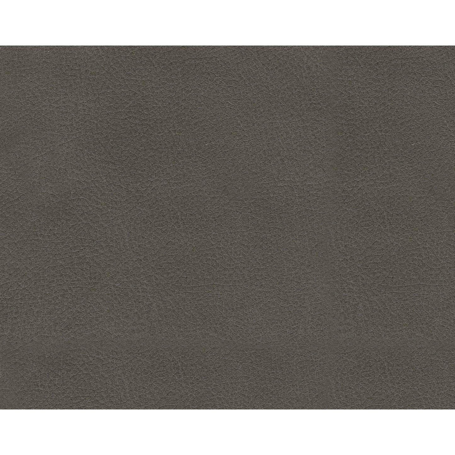 Fauteuil inclinable à bascule Calderwell avec moteur