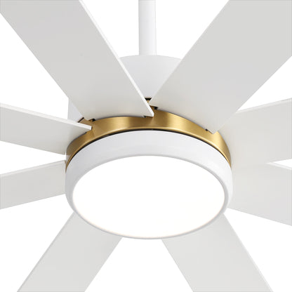 Ventilateur de plafond noir à 8 pales de 65 pouces avec éclairage LED et télécommande