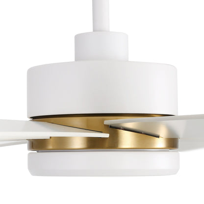 Ventilateur de plafond noir à 8 pales de 65 pouces avec éclairage LED et télécommande