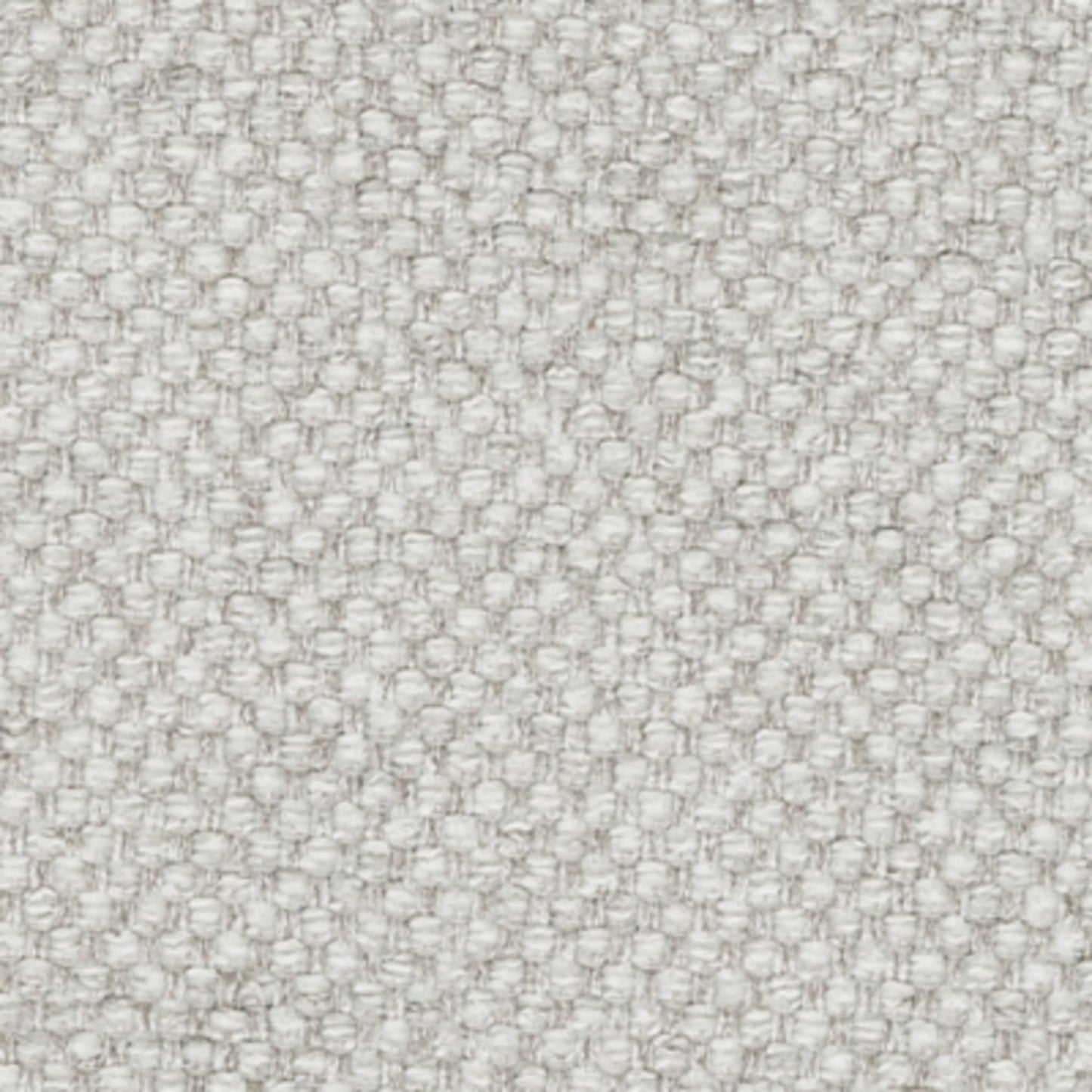 Maitelynn - Présidente exclusive