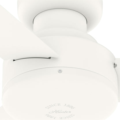 Pergola extérieure en acier de 3 m x 4 m, tonnelle avec trous de drainage pour terrasse, piscine et jardin.