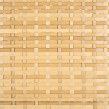 Lit de jour d'extérieur SAFAVIEH Taniyah en osier avec oreiller et coussins - 53 cm (L) x 28 cm (P) x 62 cm (H)