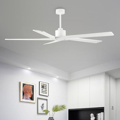 Ventilateur de plafond intérieur WINGBO 54 pouces à moteur CC sans éclairage - Non disponible